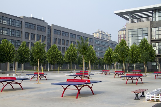 
乒乓球場地

俯瞰圖

全景圖